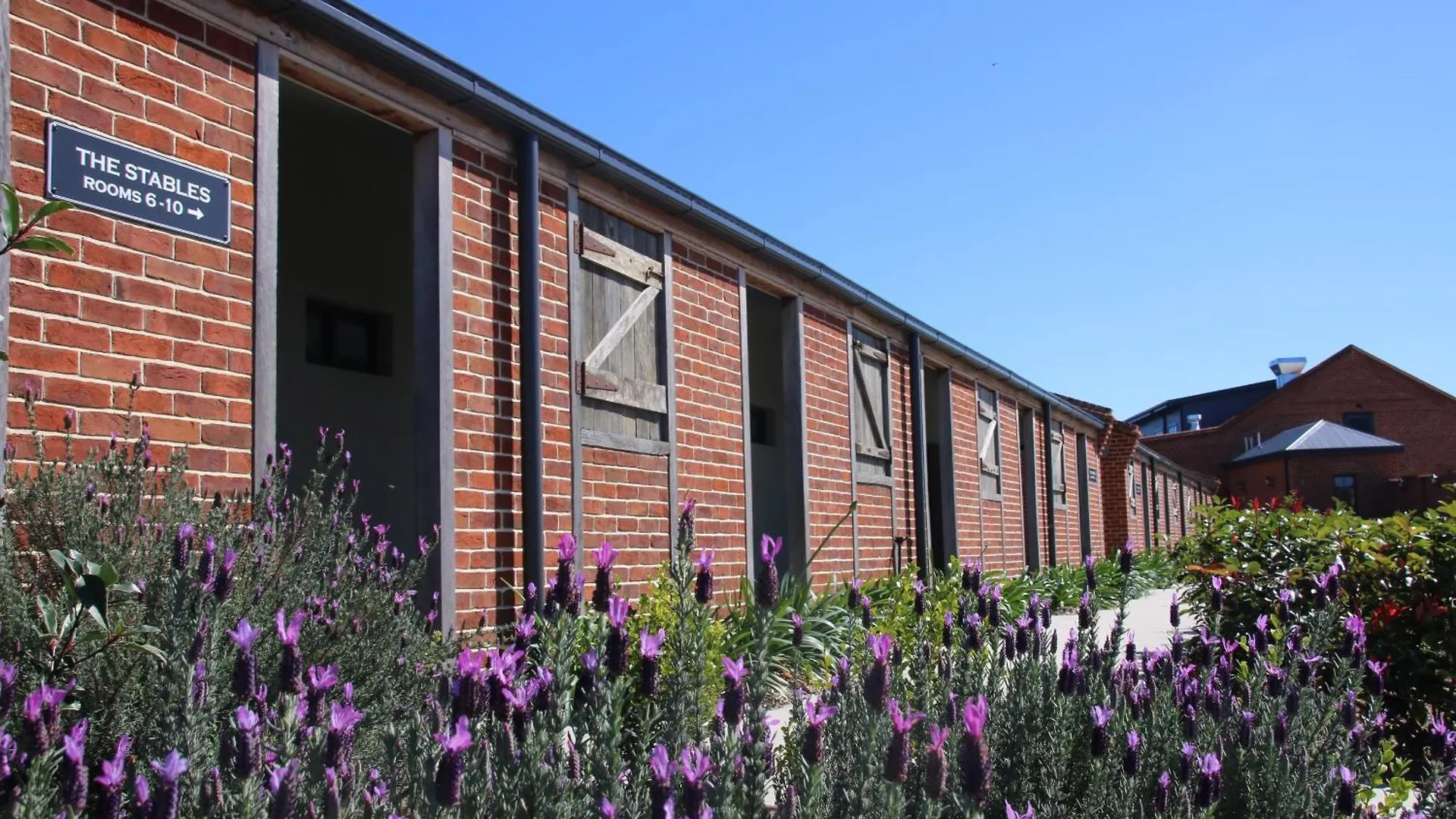 Dusty Hill Vineyard - Moffatdale Hotel